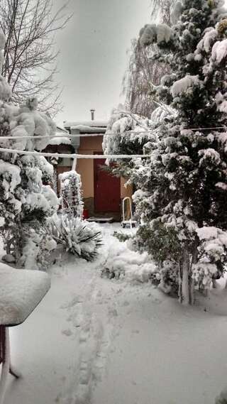 Дома для отпуска Mini-dacha on Frantsuzsky Bulvar,17 Одесса Дом для отпуска-29