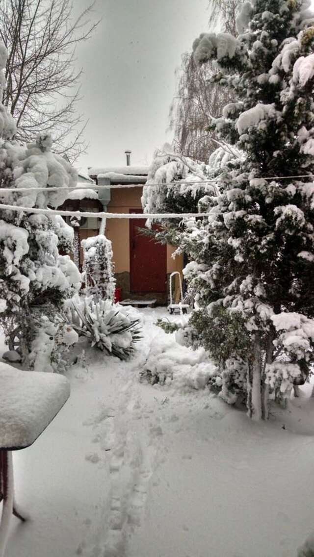 Дома для отпуска Mini-dacha on Frantsuzsky Bulvar,17 Одесса-29