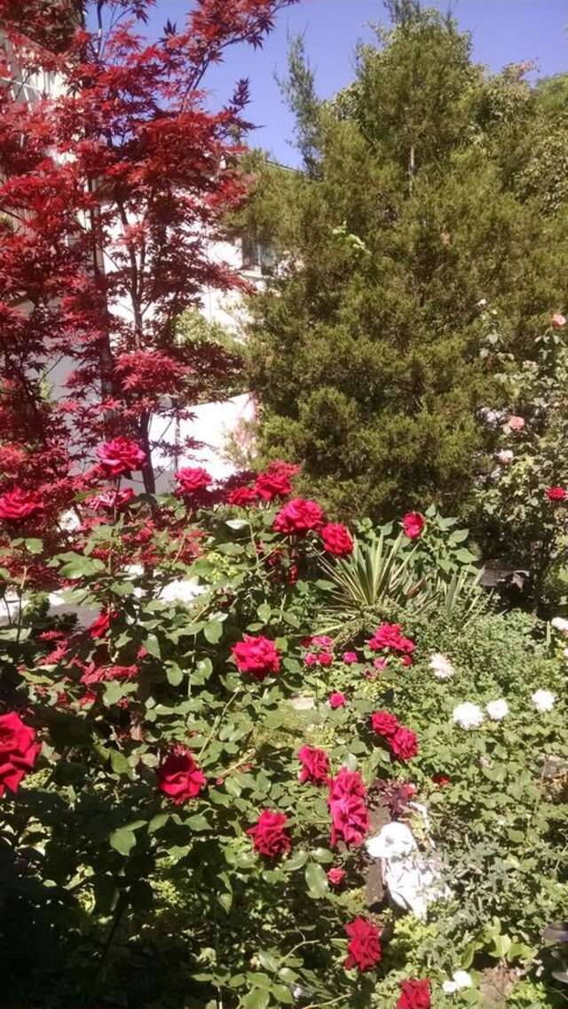 Дома для отпуска Mini-dacha on Frantsuzsky Bulvar,17 Одесса-31